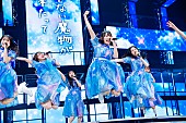 日向坂46「」36枚目/42