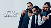 Ｔｈｅ　１９７５「The 1975、レコードBOX『(2013 - 2023) Singles』発売記念LIVE/MVスペシャル配信決定」1枚目/1