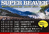 SUPER BEAVER「【SUPER BEAVER「都会のラクダ 野外TOUR 2024 ～ビルシロコ・モリヤマ～」】」2枚目/2