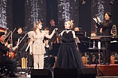 家入レオ「＜ライブレポート＞家入レオ＆加藤ミリヤ、 オーケストラと作り上げたスペシャルな夜 【Billboard JAPAN Women In Music vol.2】」1枚目/27