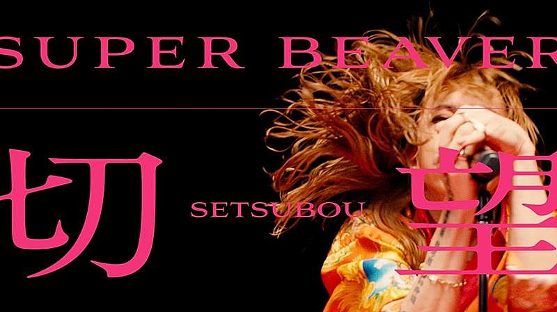 SUPER BEAVER、ニューAL『音楽』収録の新曲「切望」MVプレミア公開決定