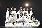 乃木坂46「乃木坂46、12回目の”バスラ”で全124曲を披露　伝統と試練が与えた乃木坂の武器」1枚目/14