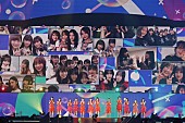 乃木坂46「」2枚目/14