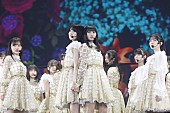 乃木坂46「」7枚目/14