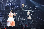 fripSide「PHOTOGRAPHY BY 中村ユタカ／伊藤真広」4枚目/18