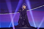 マドンナ「マドンナ、【セレブレーション・ツアー】を締めくくるキャリア最大のコンサートを発表」1枚目/1