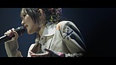 YOASOBI「YOASOBI、ZEPPツアーより「HEART BEAT」ライブ映像を公開」1枚目/3