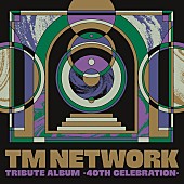 TM NETWORK「【先ヨミ】TM NETWORKのトリビュートアルバムが現在アルバム1位走行中　SEVENTEEN／imaseが続く」1枚目/1