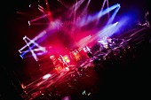 ACIDMAN「ACIDMAN “金”をテーマにした全国ツアーが金色に輝く京都で幕開け、ドラマ主題歌「白と黒」もライブ初披露」1枚目/12