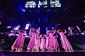 櫻坂46「」22枚目/39