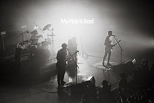 クリープハイプ「クリープハイプのトリビュートアルバム、7組目の参加アーティストはMy Hair is Bad」