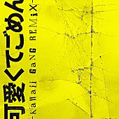 Novel Core「Novel Core 配信シングル「可愛くてごめん -KAWAII GANG Remix-」」2枚目/2