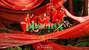 C;ON「C;ON、ワンマン公演のステージを“本気で売れたいアイドル”にお裾分け　特別企画【Lucky 7 Stage】」