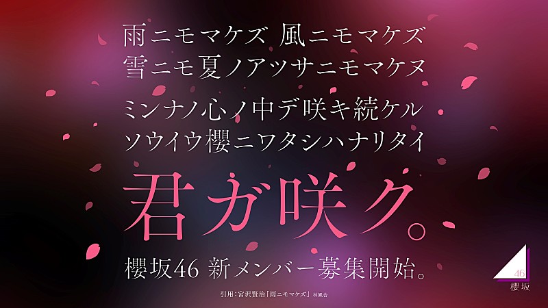 櫻坂46「櫻坂46、新メンバーオーディション開催決定　オーディションティザー映像も公開」1枚目/3