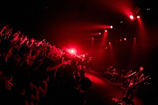 Petit Brabancon「＜ライブレポート＞Petit Brabancon、混沌とした世界を創造したツアー【BURST CITY】完遂」