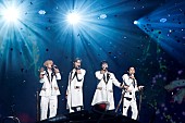 A.B.C-Z「＜ライブレポート＞A.B.C-Z、新体制後初のツアー【A.B.C-Z Concert Tour 2024 F.O.R】開催　「F.O.Rし合う関係性をこれからも大事にしていきたい」」1枚目/3