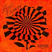 imase「imase 配信シングル「Dried Flower」」2枚目/2