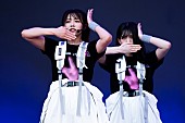 櫻坂46「」15枚目/20