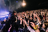 Novel Core「Novel Coreアリーナ単独公演のアンセム完成、【HERO TOUR 2024】東京公演のライブ映像全編公開」1枚目/4