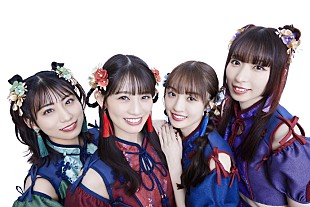 TEAM SHACHI「TEAM SHACHI、1/4開催【決戦の鯱詣 2025 ～ポジティブ・エキサイティング・ソウル・ライブ～】を17LIVEで無料独占ライブ配信」