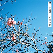 関取花「関取花、新曲「二十歳の君よ」配信リリース＆MV公開」1枚目/3