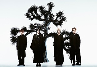 「Plastic Tree、全アルバムライブ＆ツアー【Plastic Tree Phylogenetic Tree Live/Tour 2025-2027】を開催」