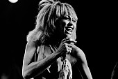 「故ティナ・ターナー、『プライヴェート・ダンサー』の未収録曲「Hot For You Baby」が公開」1枚目/1