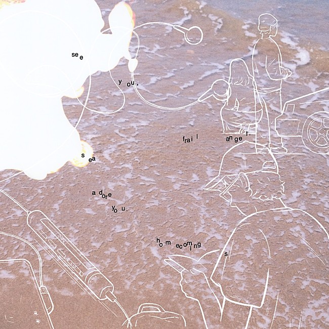 「Homecomings、AL『see you, frail angel. sea adore you.』アナログ盤リリース決定」1枚目/2