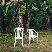 「【米ビルボード・アルバム・チャート】バッド・バニー3週連続首位、テディ・スウィムズTOP5デビュー」1枚目/1