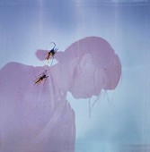 「青葉市子、静謐なバラードの新曲「SONAR」MV公開」1枚目/3