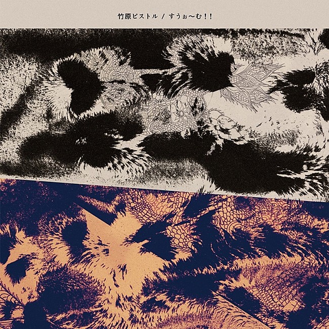 「竹原ピストル、ニューAL『すうぉ～む！！』より「s.o.s.」先行配信」1枚目/2