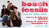 「ビーチ・フォッシルズ、2025年4月に来日公演決定」1枚目/1