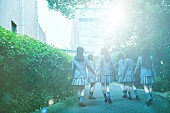 「乃木坂46、6期生夏組のティザームービー公開」1枚目/1