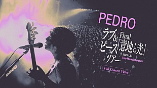 「PEDRO【ラブ&amp;ピースツアー】ファイナルのライブ映像を全編公開」
