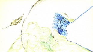 「ヨルシカ、TVアニメ『チ。 ―地球の運動について―』新EDテーマ「へび」MV公開」