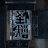 「【ビルボード】サカナクション「怪獣」、Mrs. GREEN APPLE「ライラック」からアニメ首位奪取」1枚目/2