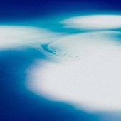 「GOMESS &amp;amp; Yackle アルバム『Coexistence』」3枚目/5