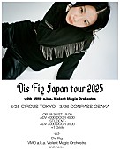 「ディス・フィグの緊急来日公演決定　VMOが帯同」1枚目/2