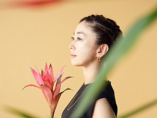 「birdの東阪リリースライブに冨田恵一／ARIWA／スチャダラパーも出演決定」