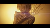 「アイナ・ジ・エンド「花無双」MV、edhiii boi×MANON／岡山天音×飯豊まりえ出演」1枚目/1