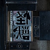 「サカナクション 配信シングル「怪獣」」2枚目/2