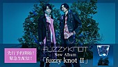 「fuzzy knot、ニューAL『fuzzy knot II』リリース決定＆詳細解禁　YouTube生配信も実施へ」1枚目/3