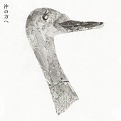 「折坂悠太 配信シングル「沖の方へ」」2枚目/3