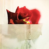 「神はサイコロを振らない 配信シングル「Lovey Dovey」」2枚目/2