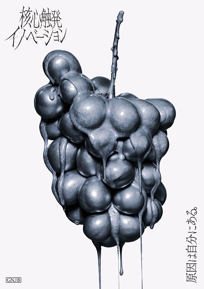 「原因は自分にある。 アルバム『核心触発イノベーション』ゲンジブ観測所限定盤（FC限定）」4枚目/6