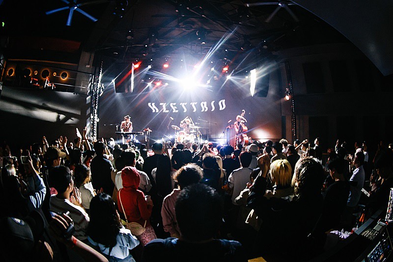 「Photo by 海淀闌尾」2枚目/17