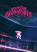 「Novel Core LIVE Blu-ray『“BRAIN LAND” at K-Arena Yokohama』初回生産限定盤」2枚目/4
