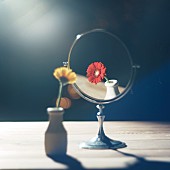 「あたらよ 配信シングル「忘愛」」2枚目/3