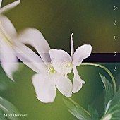 「通常盤」3枚目/5