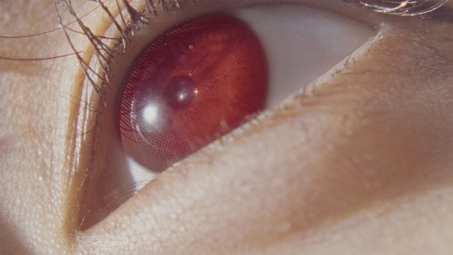 「(C)OVERSE」3枚目/4